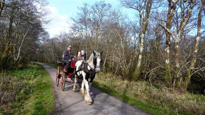 Jaunting Car Killarney